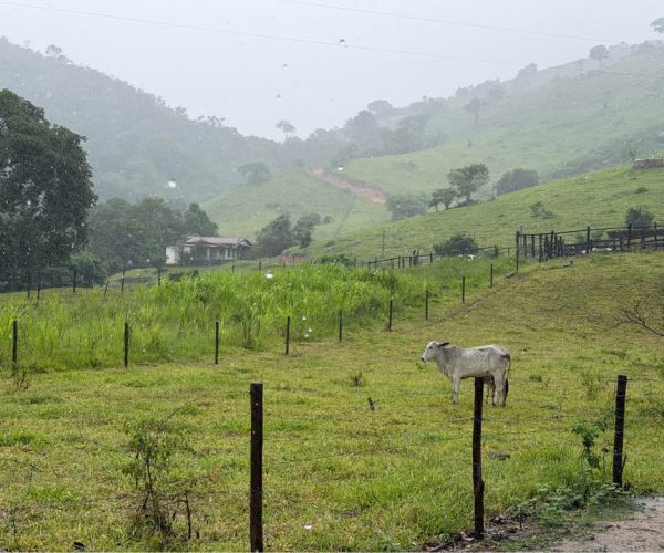 613565812_3308758909285890_3837662989118608166_n