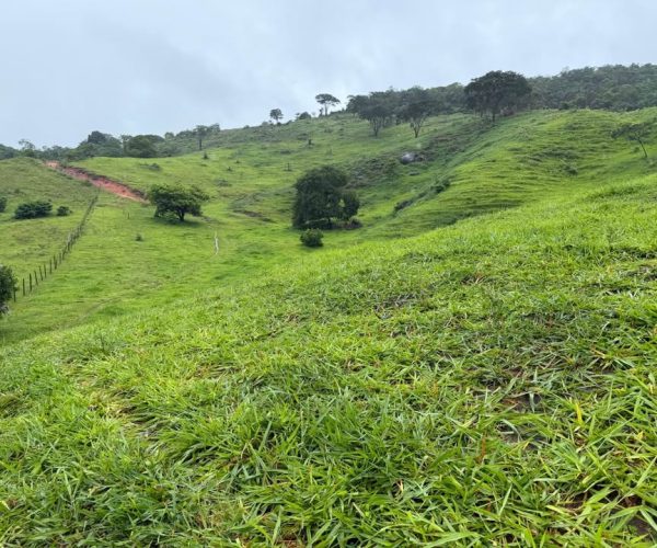 613872455_25567612679595600_4144228015288031355_n (1)