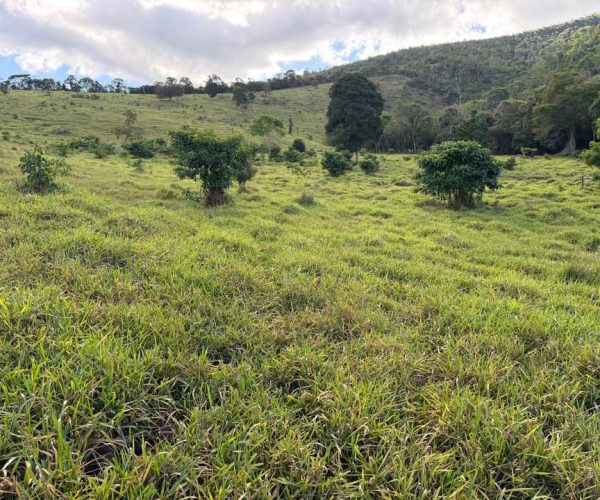 614223018_1277993924090986_7090180045359483197_n (1)