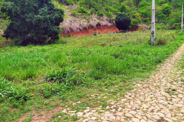 77393129_441026156848673_2108720756404781056_n