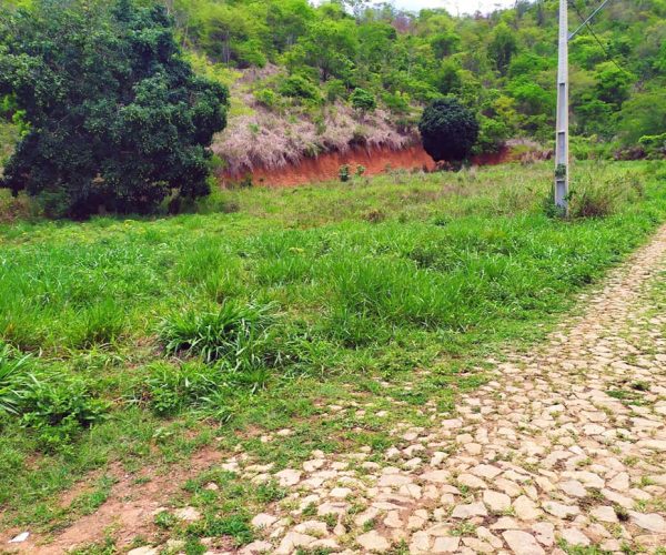 77393129_441026156848673_2108720756404781056_n