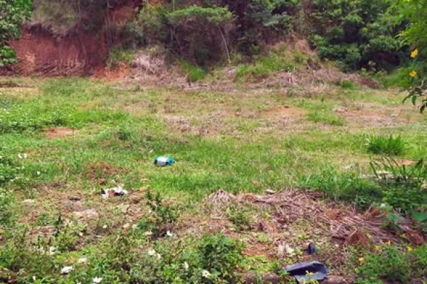 78238437_441026076848681_5459534939437400064_n (1)