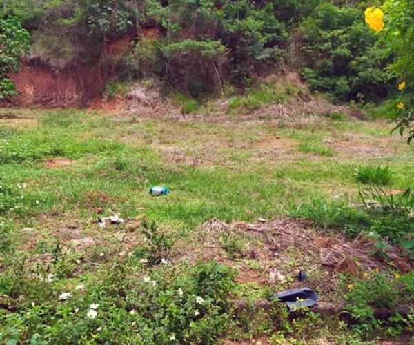 78238437_441026076848681_5459534939437400064_n (1)