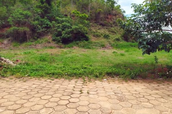 79328070_441026110182011_1997836396018008064_n (1)