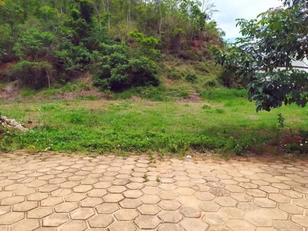 79328070_441026110182011_1997836396018008064_n (1)