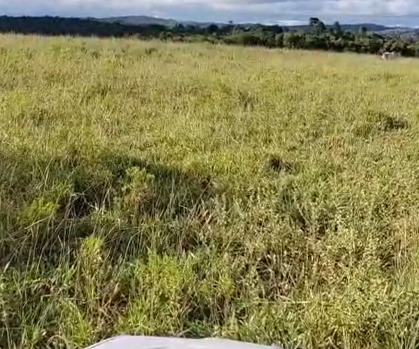 Captura de tela 2025-12-17 172124