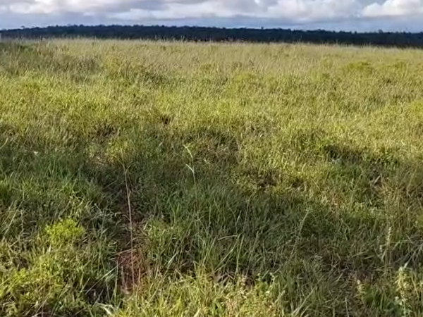 Captura de tela 2025-12-17 172215