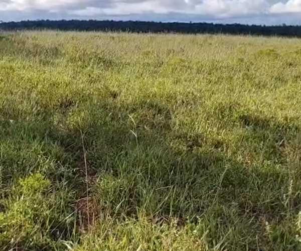 Captura de tela 2025-12-17 172215