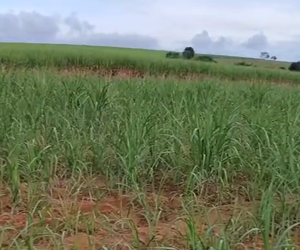 Captura de tela 2025-12-17 172802