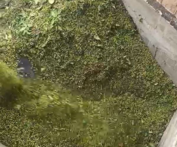 Captura de tela 2025-12-17 180519