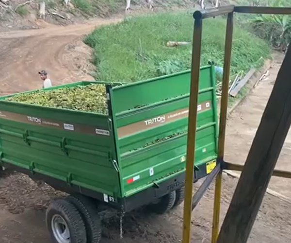 Captura de tela 2025-12-17 180602