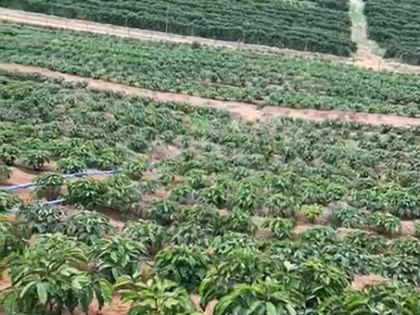 Captura de tela 2025-12-17 180758