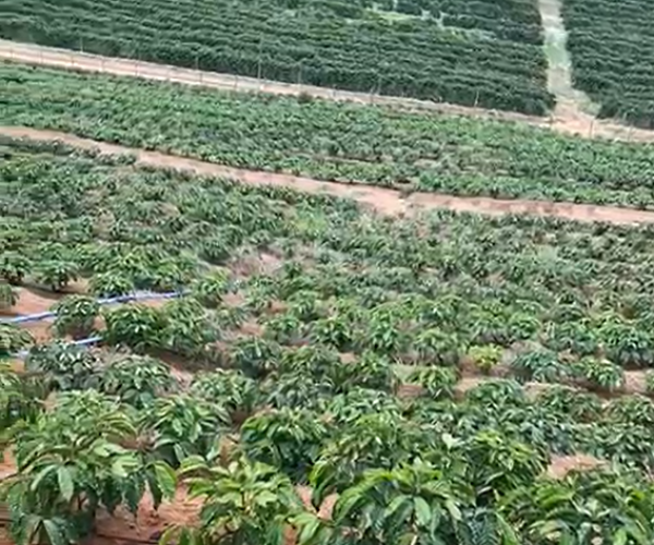 Captura de tela 2025-12-17 180758