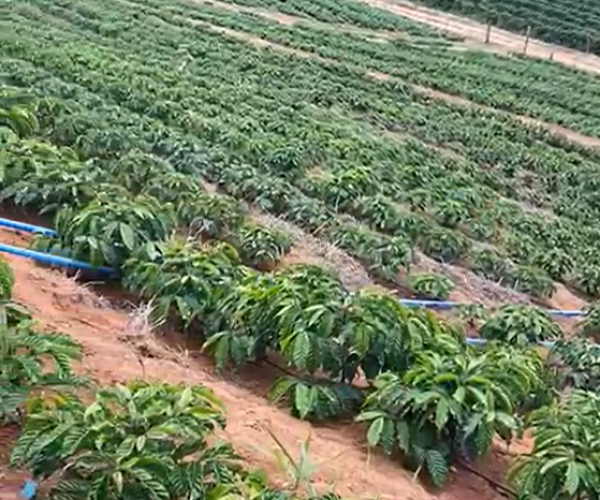 Captura de tela 2025-12-17 180812