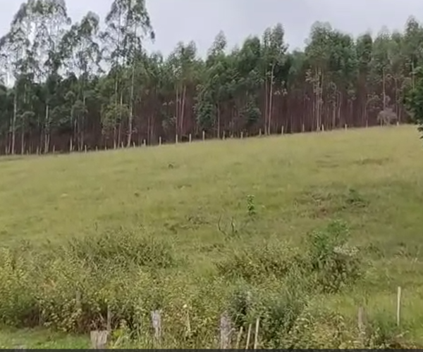 Captura de tela 2025-12-17 221545