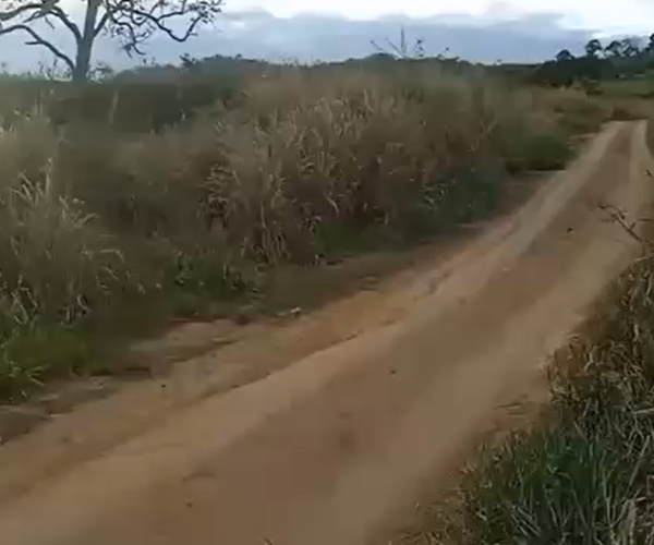 Captura de tela 2025-12-17 225004