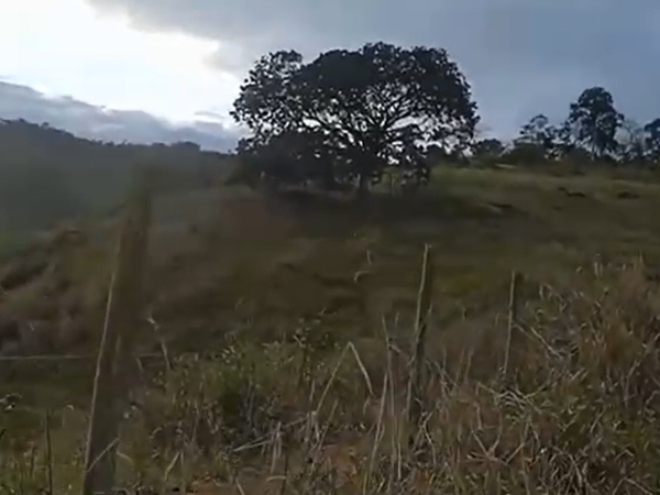 Captura de tela 2025-12-17 225111