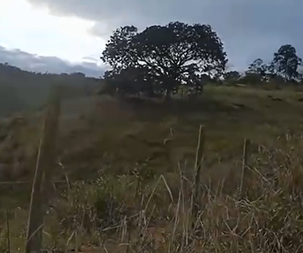 Captura de tela 2025-12-17 225111