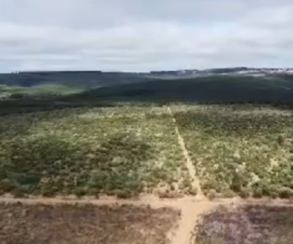 Captura de tela 2025-12-18 011608