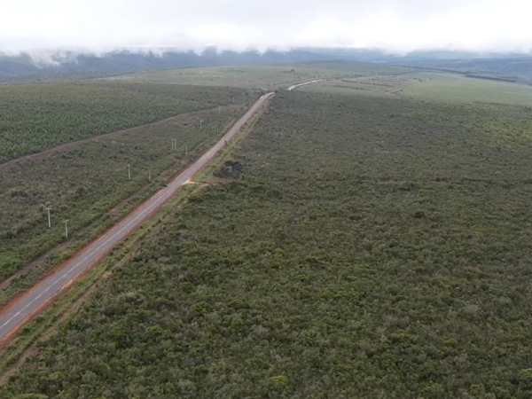 Captura de tela 2025-12-18 094643