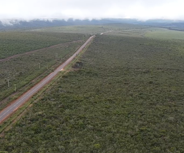 Captura de tela 2025-12-18 094643