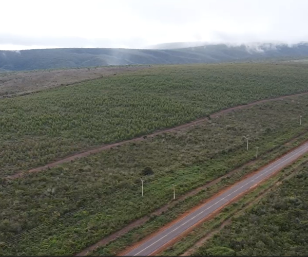 Captura de tela 2025-12-18 094702