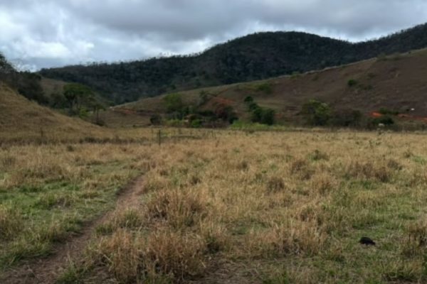 Captura de tela 2026-10-23 165841