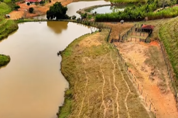 Captura de tela 2026-10-24 171239