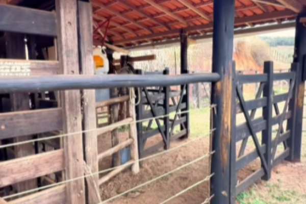 Captura de tela 2026-10-24 172021