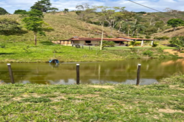 Captura de tela 2026-10-26 152105 (1)