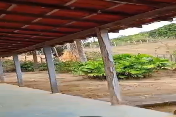 Captura de tela 2026-10-27 11181027