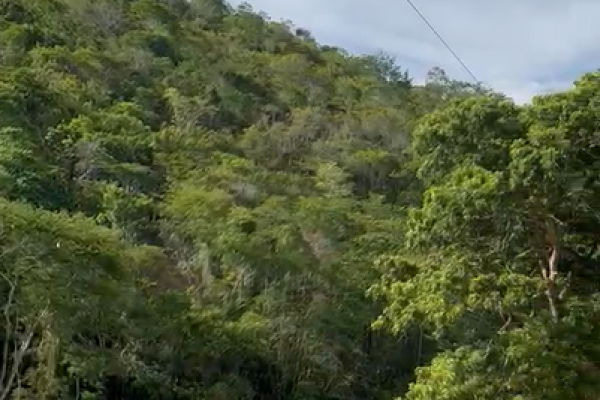 Captura de tela 2026-10-27 180711