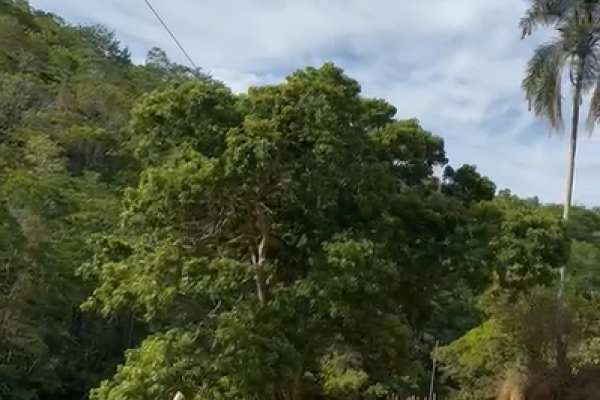 Captura de tela 2026-10-27 180725