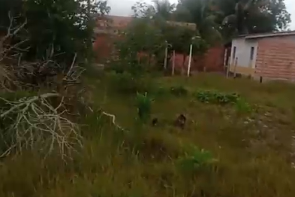 Captura de tela 2026-10-28 203109