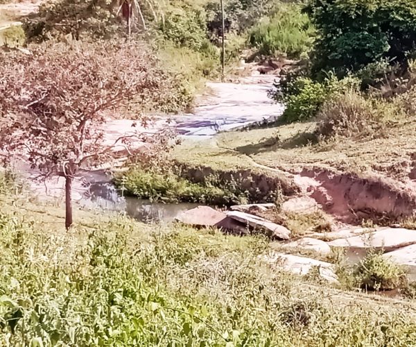 WhatsApp Image 2025-12-15 at 09.45.57 (1)