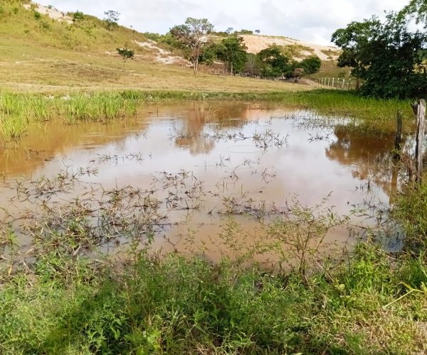 WhatsApp Image 2025-12-15 at 09.45.57