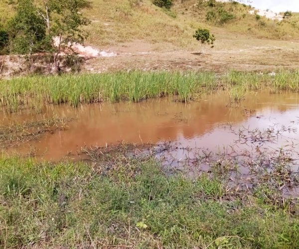 WhatsApp Image 2025-12-15 at 09.45.58