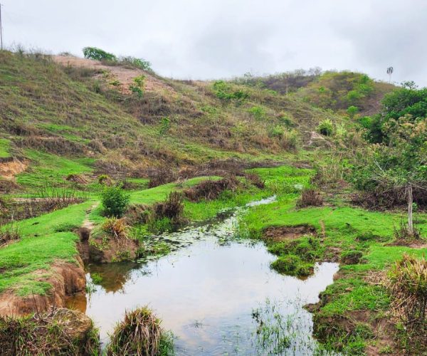 WhatsApp Image 2025-12-15 at 09.46.00 (5)