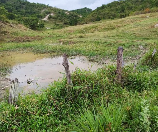 WhatsApp Image 2025-12-15 at 09.46.02 (1)