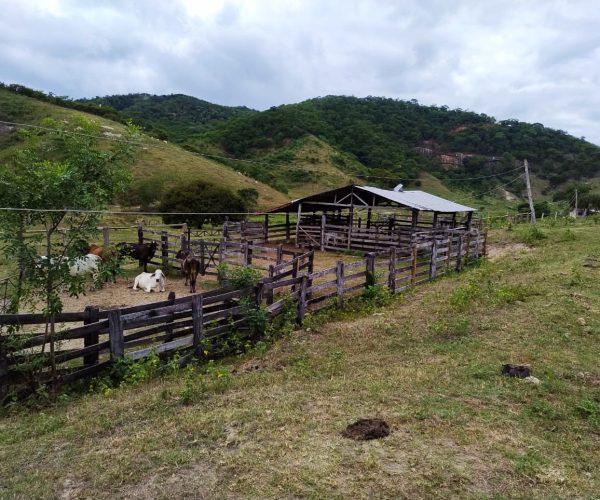 WhatsApp Image 2025-12-15 at 09.46.02