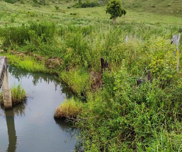 WhatsApp Image 2025-12-15 at 09.46.04 (1)