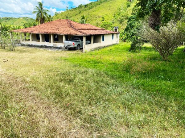 WhatsApp Image 2025-12-15 at 09.46.05