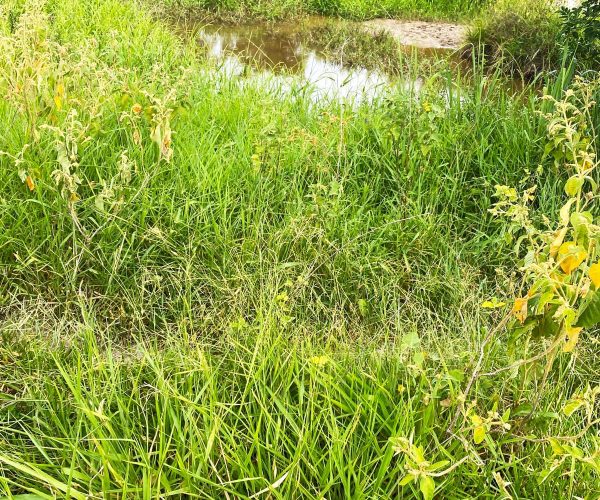 WhatsApp Image 2025-12-15 at 09.46.07