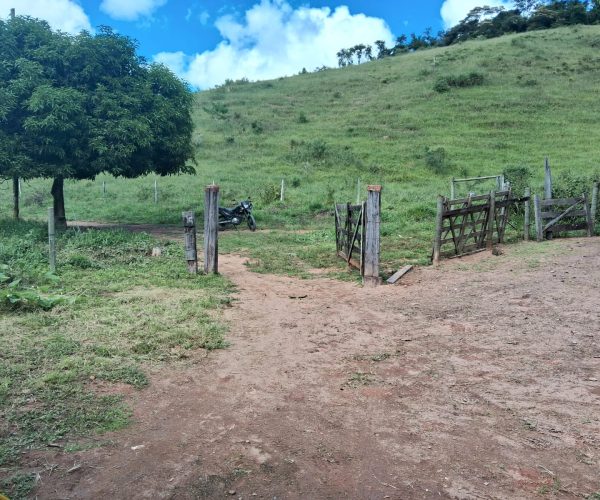 WhatsApp Image 2025-12-15 at 10.45.25