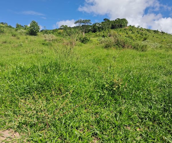 WhatsApp Image 2025-12-15 at 10.45.26 (1)