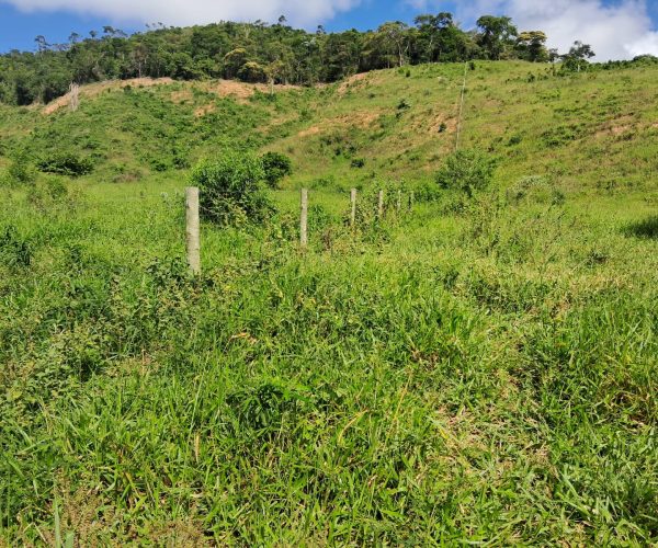 WhatsApp Image 2025-12-15 at 10.45.26