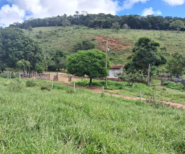 WhatsApp Image 2025-12-15 at 10.45.29 (2)