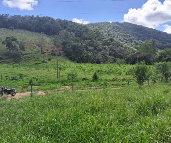 WhatsApp Image 2025-12-15 at 10.45.30