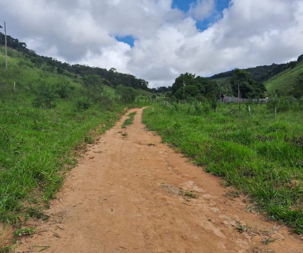 WhatsApp Image 2025-12-15 at 10.45.31