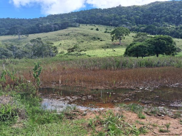 WhatsApp Image 2025-12-15 at 10.45.32